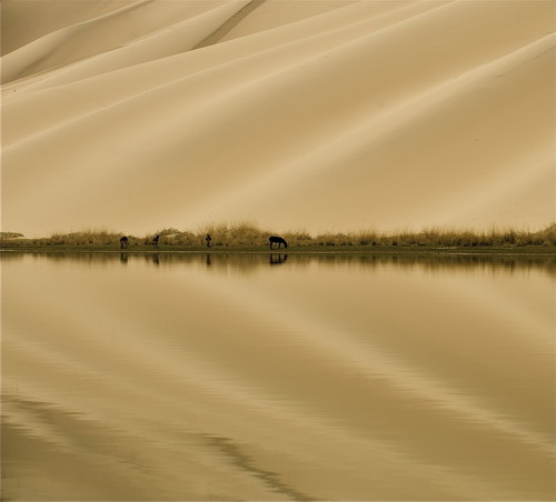 VIP888·(中国区)有限公司官网