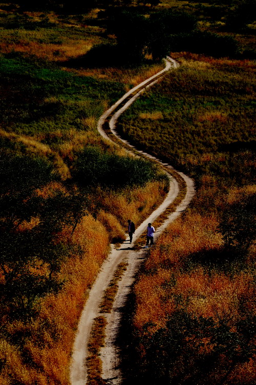 VIP888·(中国区)有限公司官网