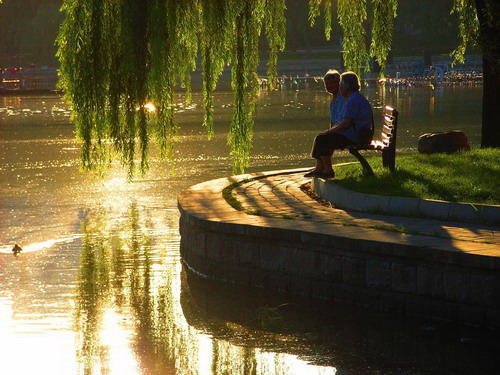 VIP888·(中国区)有限公司官网