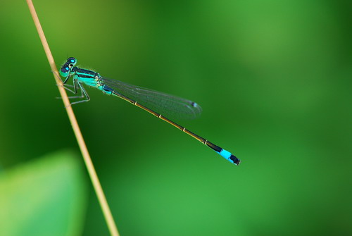 VIP888·(中国区)有限公司官网