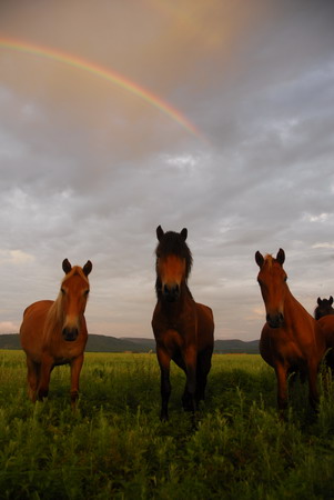 VIP888·(中国区)有限公司官网