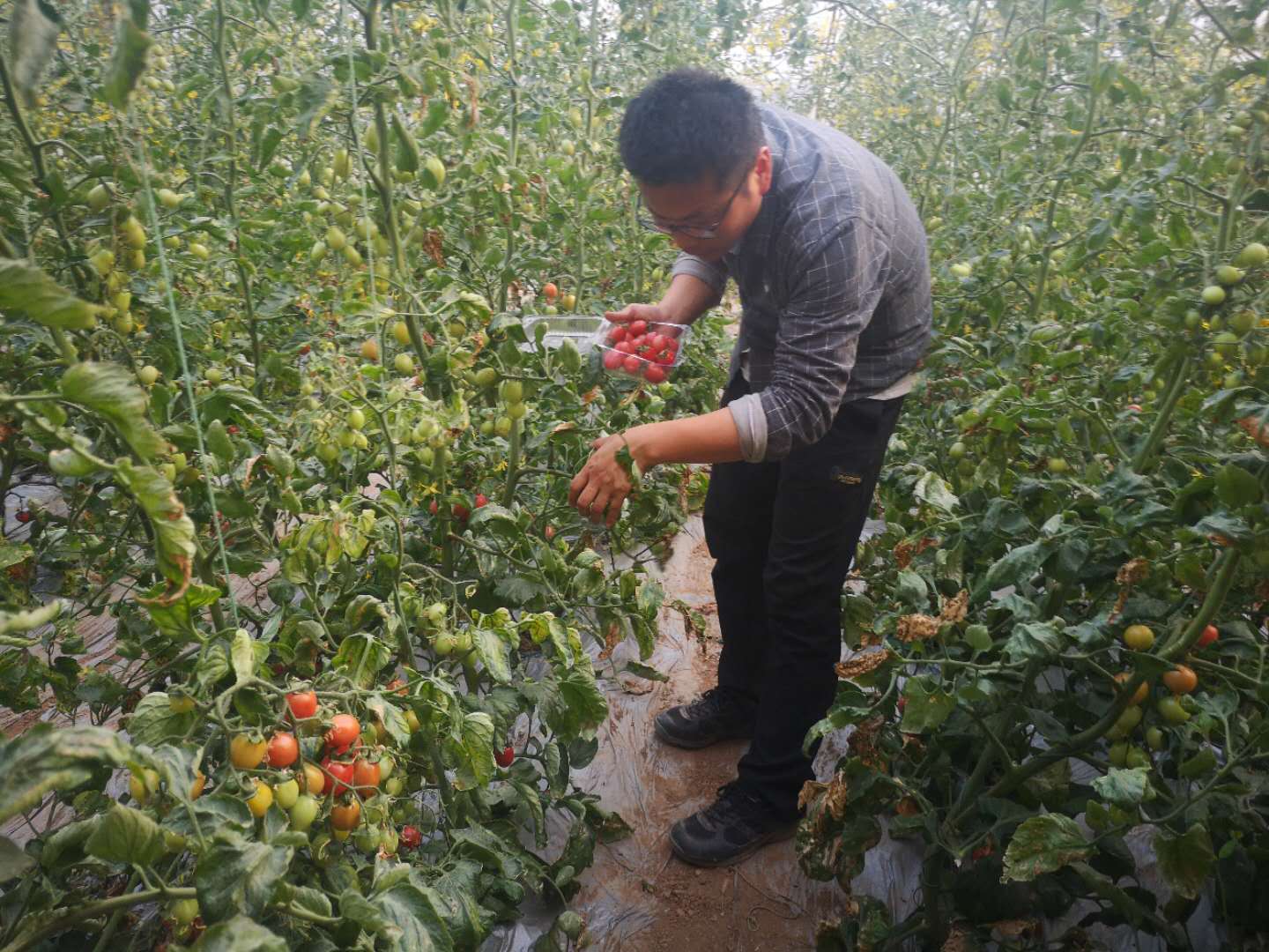 VIP888·(中国区)有限公司官网