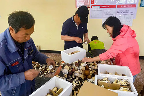 VIP888·(中国区)有限公司官网