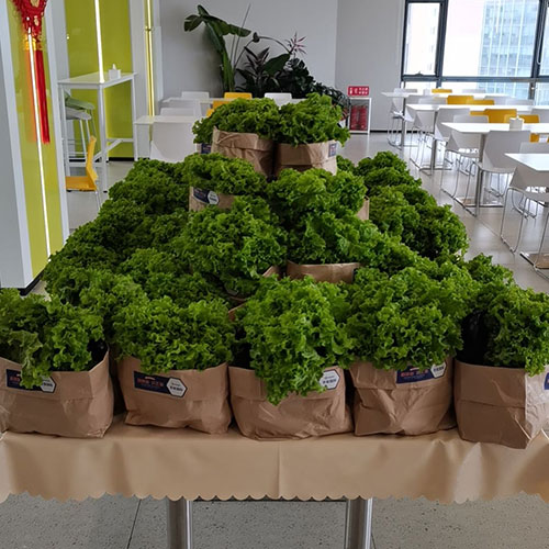 VIP888·(中国区)有限公司官网